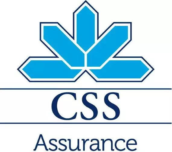 Logo CSS